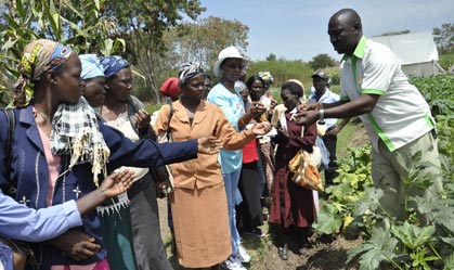 TRAINING PROGRAMS FOR FARMERS